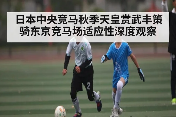 日本中央竞马秋季天皇赏武丰策骑东京竞马场适应性深度观察 | kaiyun